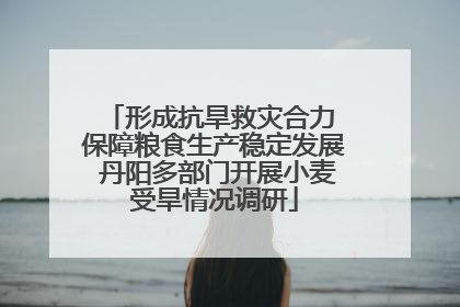 形成抗旱救灾合力 保障粮食生产稳定发展 丹阳多部门开展小麦受旱情况调研