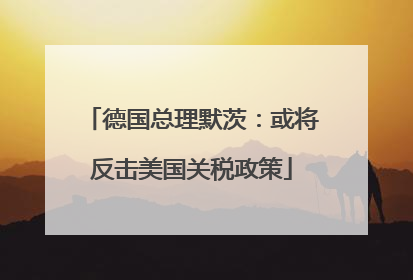 德国总理默茨：或将反击美国关税政策