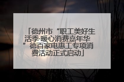 德州市“职工美好生活季·暖心消费嘉年华”德百家电惠工专项消费活动正式启动