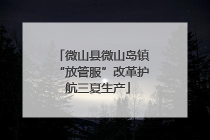 微山县微山岛镇“放管服”改革护航三夏生产