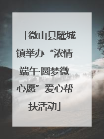 微山县驩城镇举办“浓情端午·圆梦微心愿”爱心帮扶活动
