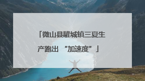 微山县驩城镇三夏生产跑出 “加速度”