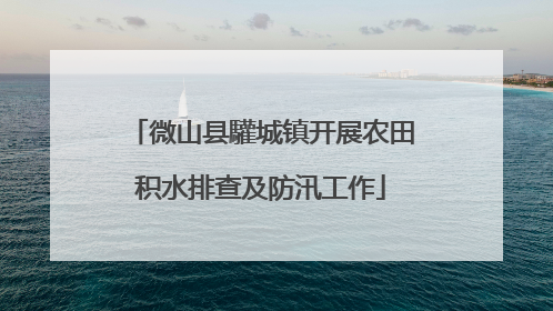 微山县驩城镇开展农田积水排查及防汛工作