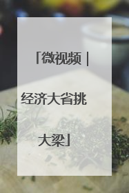 微视频｜经济大省挑大梁
