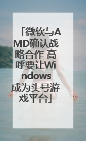 微软与AMD确认战略合作 高呼要让Windows成为头号游戏平台