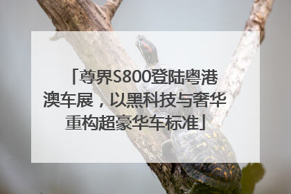 尊界S800登陆粤港澳车展，以黑科技与奢华重构超豪华车标准
