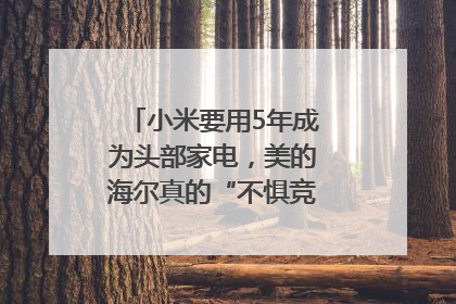 小米要用5年成为头部家电，美的海尔真的“不惧竞争”？｜热财经