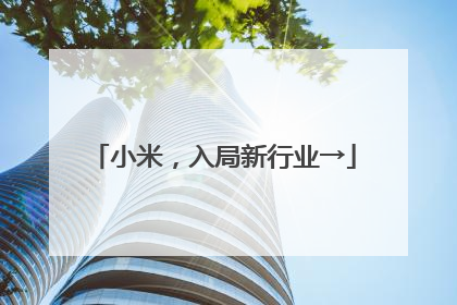 小米，入局新行业→