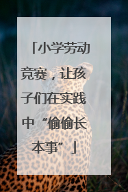 小学劳动竞赛，让孩子们在实践中“偷偷长本事”