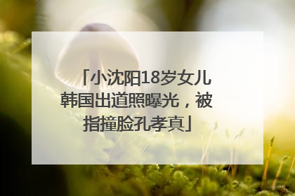 小沈阳18岁女儿韩国出道照曝光，被指撞脸孔孝真