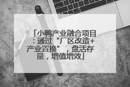 小鸭产业融合项目：通过“厂区改造+产业置换”，盘活存量，增值增效