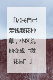 居民自己筹钱栽花种草，小区荒地变成“微花园”