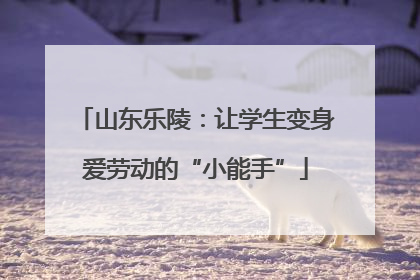 山东乐陵：让学生变身爱劳动的“小能手”