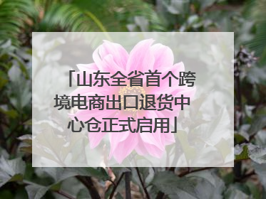 山东全省首个跨境电商出口退货中心仓正式启用