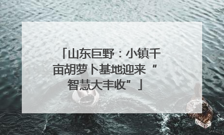 山东巨野：小镇千亩胡萝卜基地迎来“智慧大丰收”