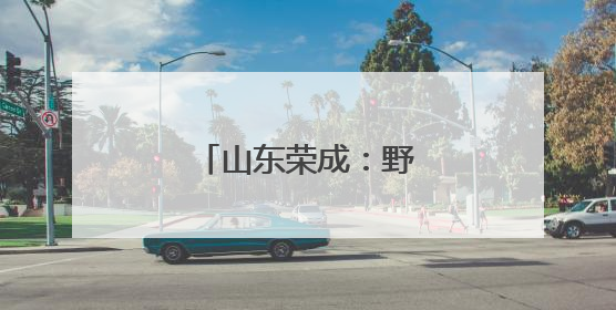 山东荣成：野生海参采捕忙