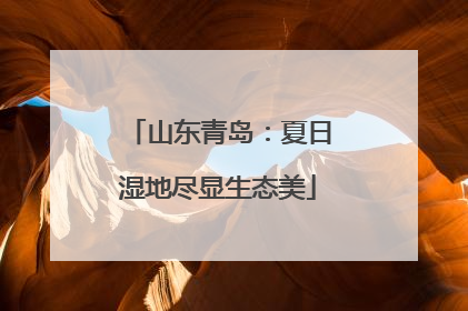 山东青岛：夏日湿地尽显生态美