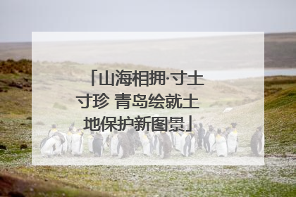山海相拥·寸土寸珍 青岛绘就土地保护新图景