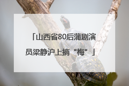 山西省80后蒲剧演员梁静沪上摘“梅”