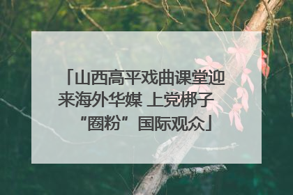 山西高平戏曲课堂迎来海外华媒 上党梆子“圈粉”国际观众