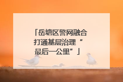 岳塘区警网融合 打通基层治理“最后一公里”