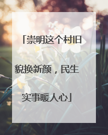 崇明这个村旧貌换新颜，民生实事暖人心