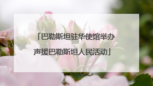 巴勒斯坦驻华使馆举办声援巴勒斯坦人民活动