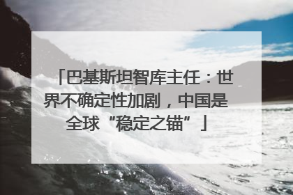 巴基斯坦智库主任：世界不确定性加剧，中国是全球“稳定之锚”