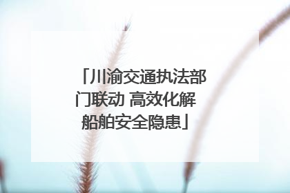 川渝交通执法部门联动 高效化解船舶安全隐患