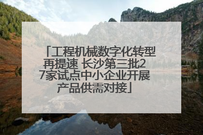 工程机械数字化转型再提速 长沙第三批27家试点中小企业开展产品供需对接
