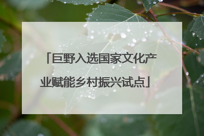 巨野入选国家文化产业赋能乡村振兴试点