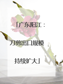 广东阳江：刀剪出口规模持续扩大