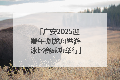 广安2025迎端午·划龙舟暨游泳比赛成功举行