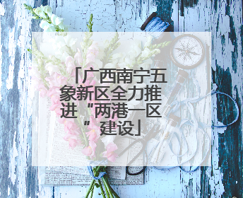 广西南宁五象新区全力推进“两港一区”建设