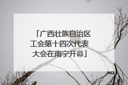 广西壮族自治区工会第十四次代表大会在南宁开幕
