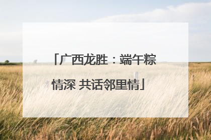 广西龙胜：端午粽情深 共话邻里情