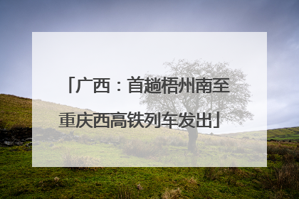 广西：首趟梧州南至重庆西高铁列车发出