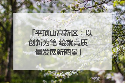 平顶山高新区：以创新为笔 绘就高质量发展新图景