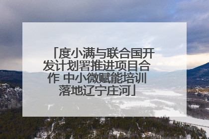 度小满与联合国开发计划署推进项目合作 中小微赋能培训落地辽宁庄河