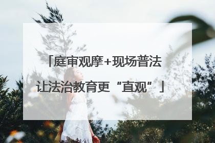 庭审观摩+现场普法 让法治教育更“直观”