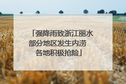 强降雨致浙江丽水部分地区发生内涝 各地积极抢险