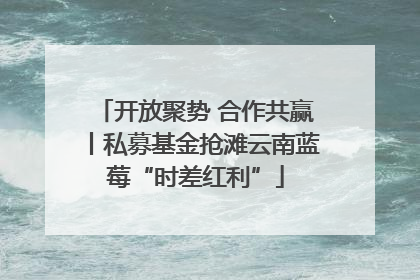 开放聚势 合作共赢丨私募基金抢滩云南蓝莓“时差红利”