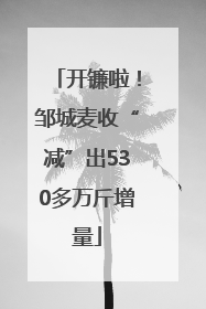 开镰啦！邹城麦收“减”出530多万斤增量