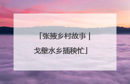 张掖乡村故事｜戈壁水乡插秧忙