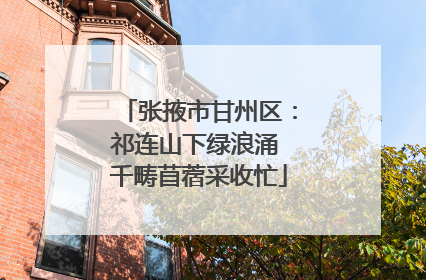 张掖市甘州区：祁连山下绿浪涌 千畴苜蓿采收忙
