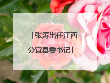 张涛出任江西分宜县委书记