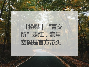 捞舆｜“青交所”走红，流量密码是官方带头“玩起来”