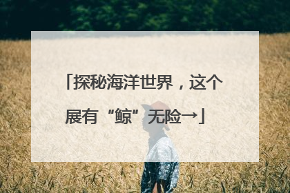 探秘海洋世界，这个展有“鲸”无险→