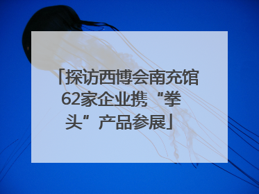 探访西博会南充馆 62家企业携“拳头”产品参展