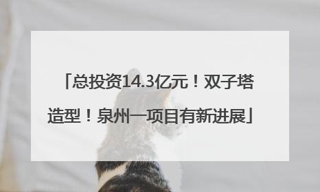 总投资14.3亿元！双子塔造型！泉州一项目有新进展